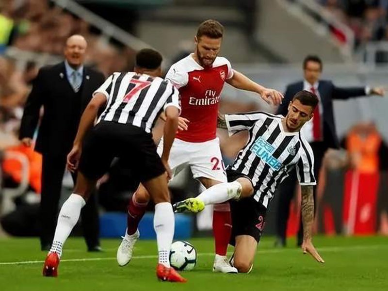 乐鱼(leyu)官网概况